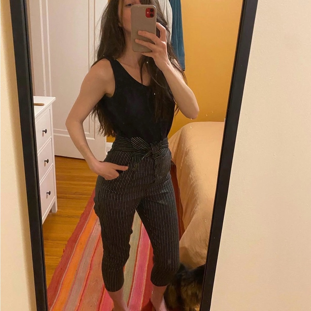 Striped Cokluch Dress Pants